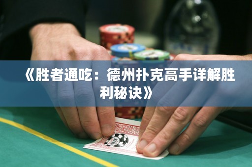 《勝者通吃：德州撲克高手詳解勝利秘訣》