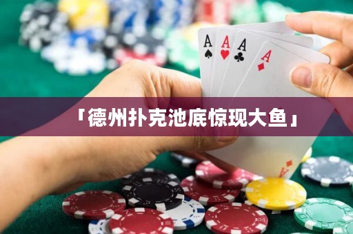 「德州撲克池底驚現(xiàn)大魚」