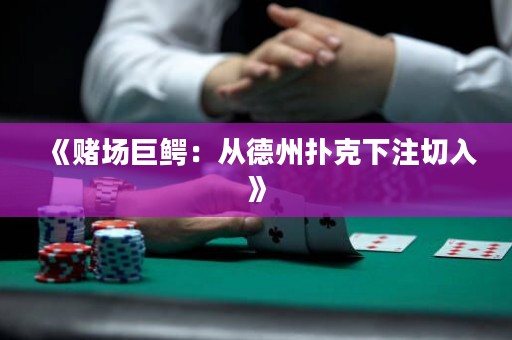 《賭場(chǎng)巨鱷：從德州撲克下注切入》