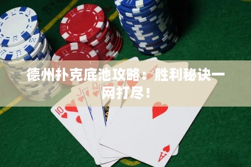 德州撲克底池攻略：勝利秘訣一網(wǎng)打盡！