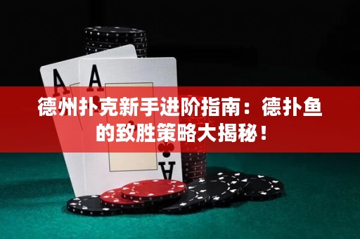 德州撲克新手進(jìn)階指南：德?lián)漪~的致勝策略大揭秘！