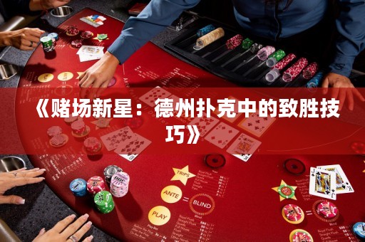 《賭場新星：德州撲克中的致勝技巧》