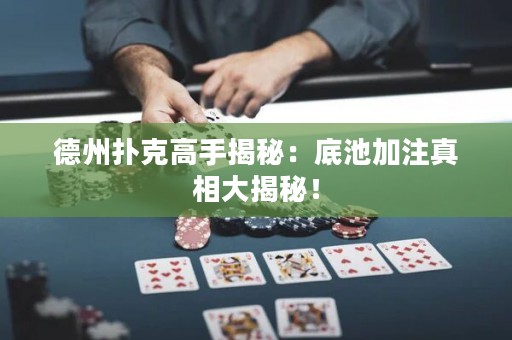 德州撲克高手揭秘：底池加注真相大揭秘！