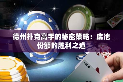 德州撲克高手的秘密策略：底池份額的勝利之道