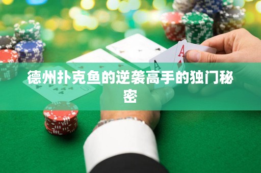 德州撲克魚的逆襲高手的獨門秘密