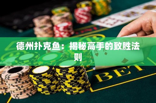 德州撲克魚：揭秘高手的致勝法則