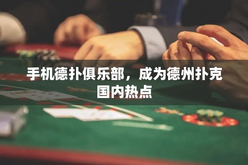 手機(jī)德?lián)渚銟凡浚蔀榈轮輷淇藝鴥?nèi)熱點