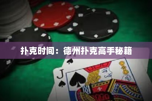 撲克時(shí)間：德州撲克高手秘籍