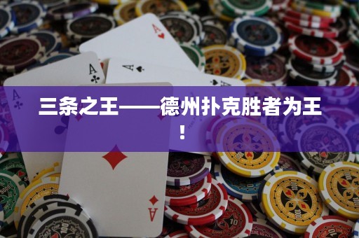 三條之王——德州撲克勝者為王！