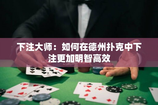 下注大師：如何在德州撲克中下注更加明智高效