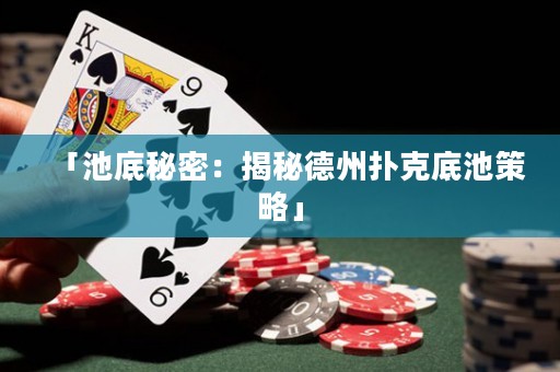 「池底秘密：揭秘德州撲克底池策略」