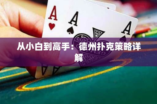 從小白到高手：德州撲克策略詳解