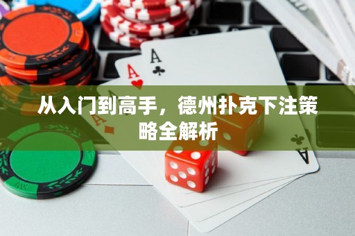 從入門到高手，德州撲克下注策略全解析