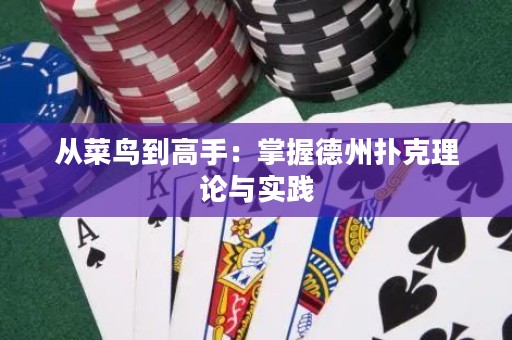從菜鳥(niǎo)到高手：掌握德州撲克理論與實(shí)踐