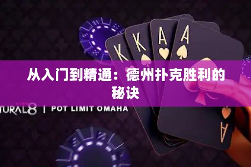 從入門到精通：德州撲克勝利的秘訣
