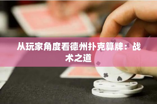 從玩家角度看德州撲克算牌：戰(zhàn)術(shù)之道