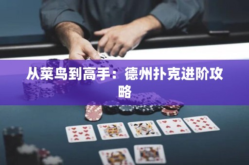 從菜鳥到高手：德州撲克進(jìn)階攻略