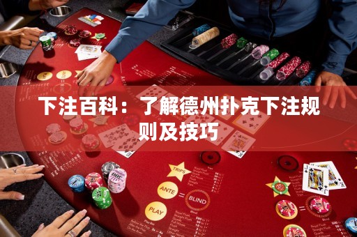 下注百科：了解德州撲克下注規(guī)則及技巧