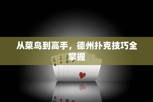 從菜鳥到高手，德州撲克技巧全掌握