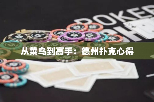 從菜鳥到高手：德州撲克心得