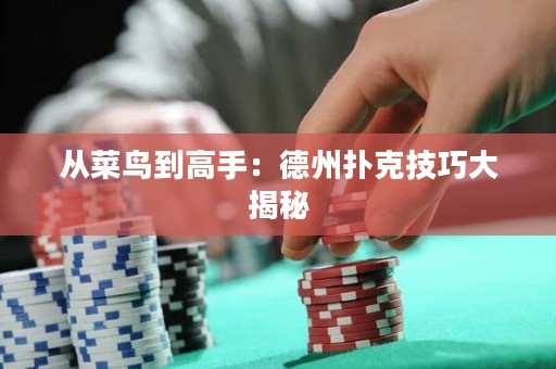 從菜鳥(niǎo)到高手：德州撲克技巧大揭秘