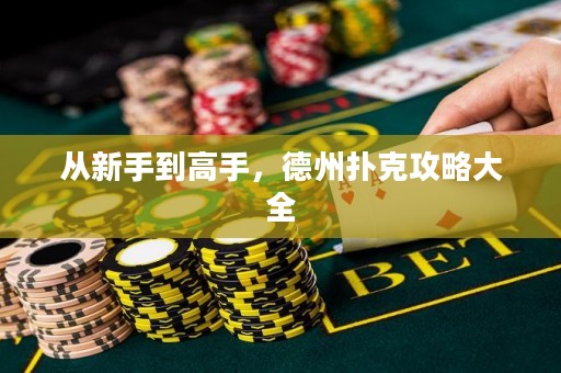 從新手到高手，德州撲克攻略大全