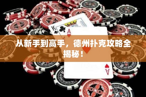 從新手到高手，德州撲克攻略全揭秘！