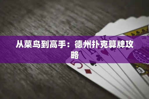 從菜鳥到高手：德州撲克算牌攻略
