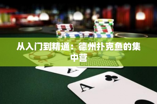 從入門到精通：德州撲克魚的集中營
