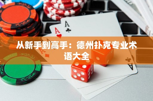 從新手到高手：德州撲克專業(yè)術(shù)語大全