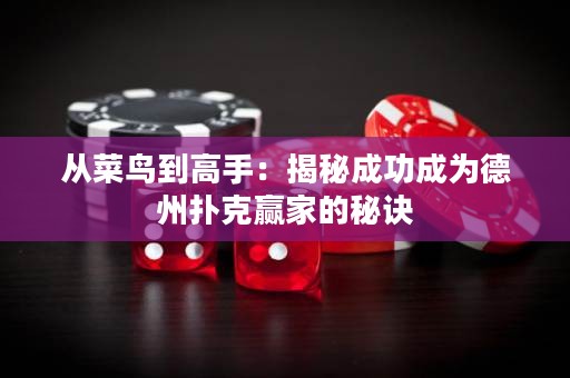 從菜鳥到高手：揭秘成功成為德州撲克贏家的秘訣