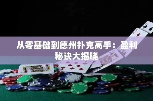 從零基礎(chǔ)到德州撲克高手：盈利秘訣大揭曉
