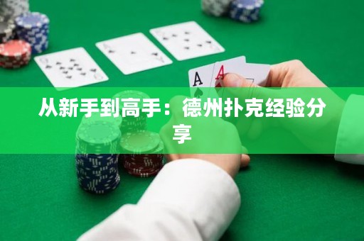 從新手到高手：德州撲克經驗分享