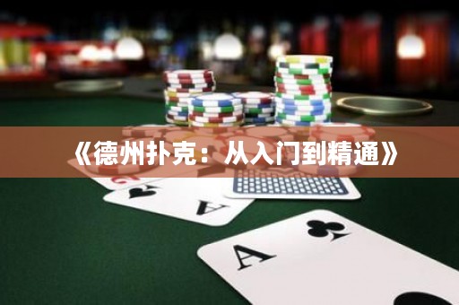 《德州撲克：從入門到精通》
